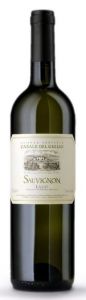 Sauvignon Casale del Giglio 2023 cl 75