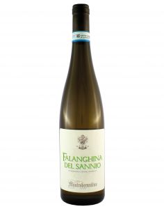 Falanghina del Sannio DOC 2023 Mastroberardino Cl. 75